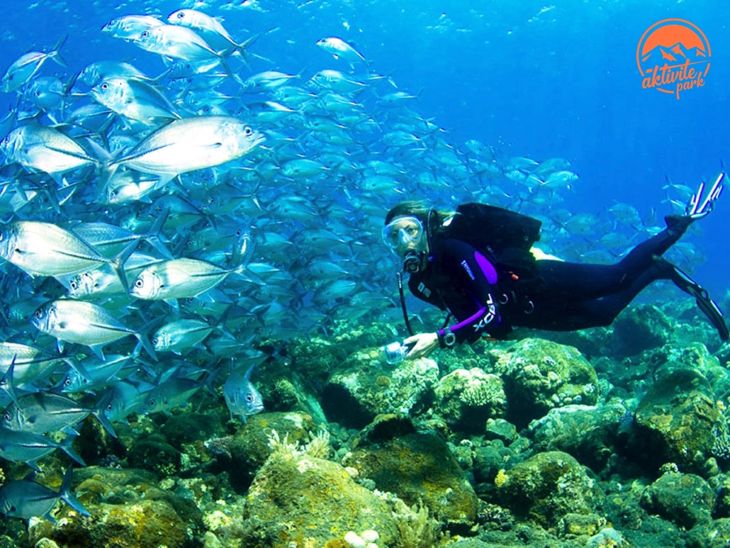 Alanya Dalış (7)